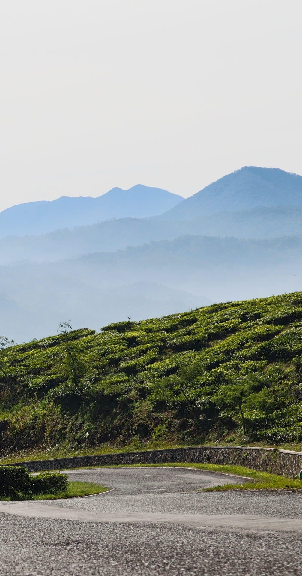 Riders on the Sakleshpur ghat road, misty coffee estates
