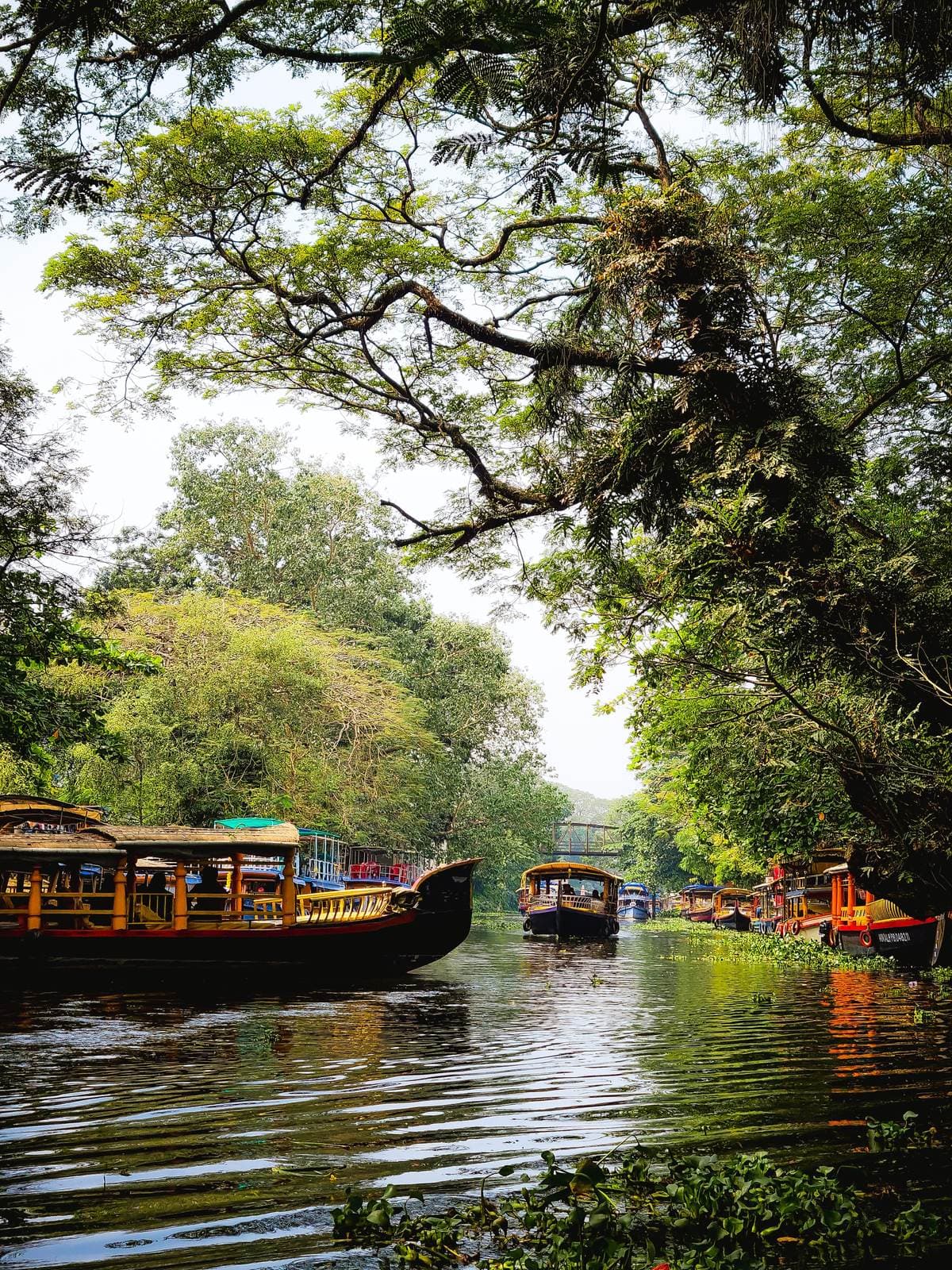 Backwaters canal near Kochi and Alleppey